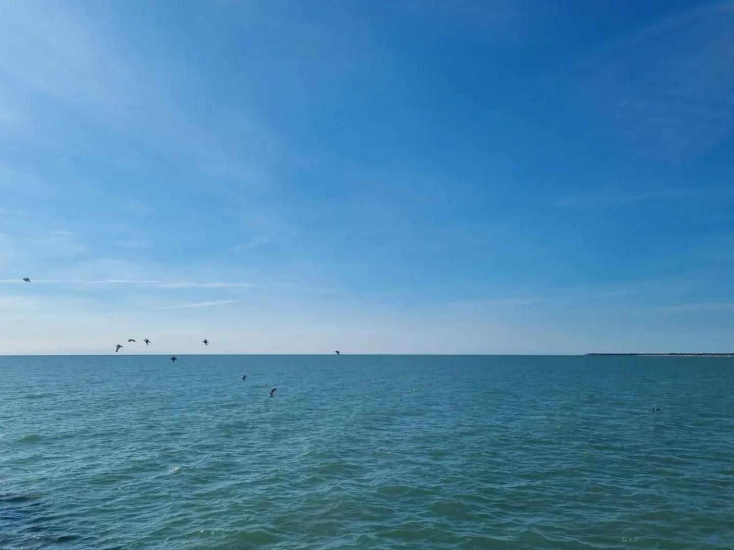 Appart-Hotel Holiday Lignano Sabbiadoro Eksteriør bilde